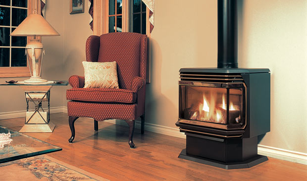 The EG40 Gas Freestanding Stove