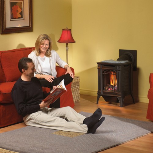 Gas Stoves Arlington™ – GDS20