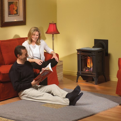 GDS20_blk_room_napoleon_gas_stoves-500x500