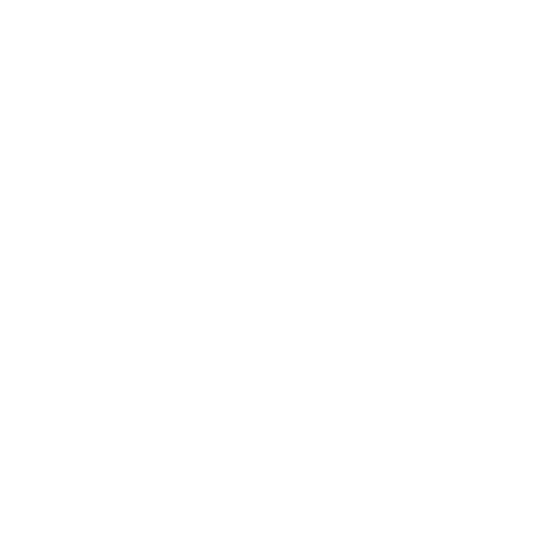 Chimney liner icon - Dunrite Chimney