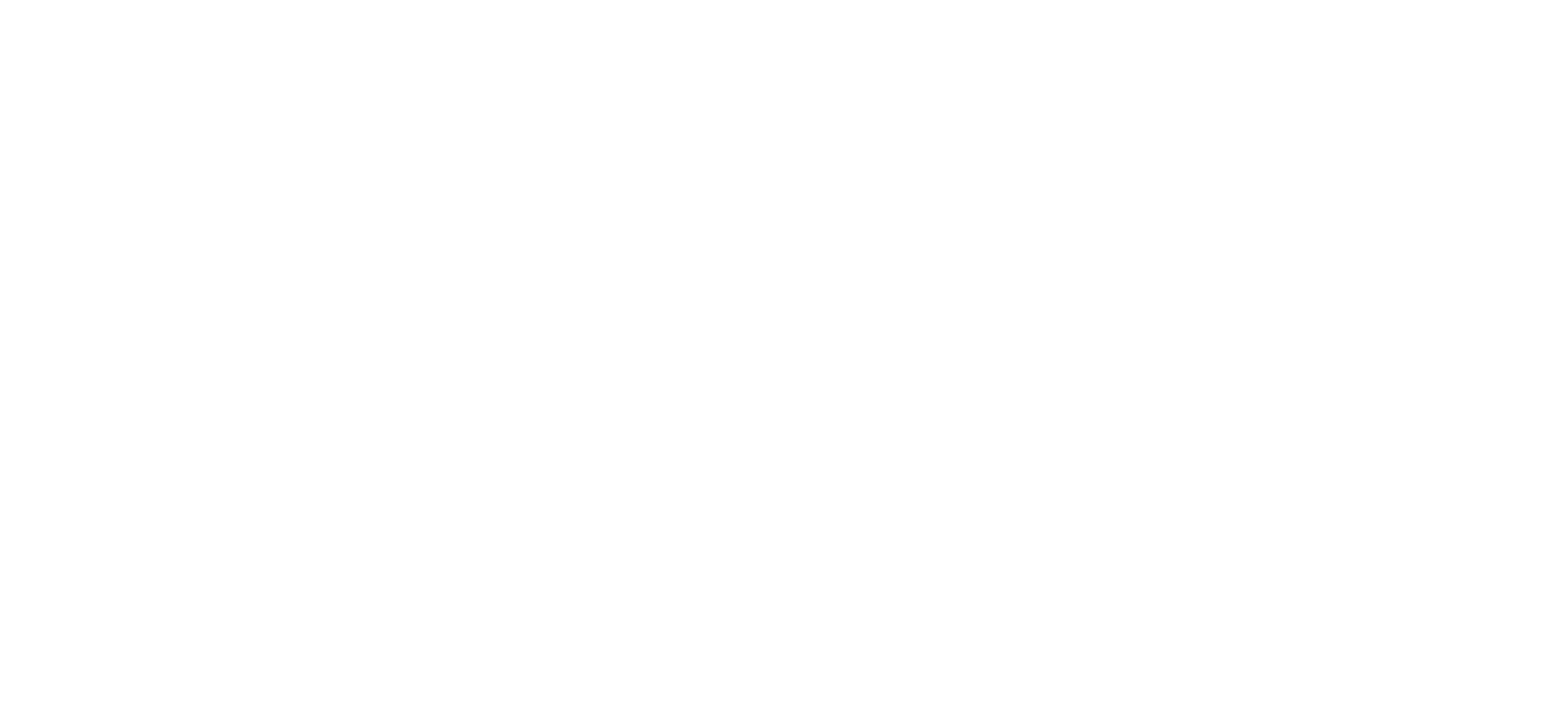 Dunrite Chimney logo - white