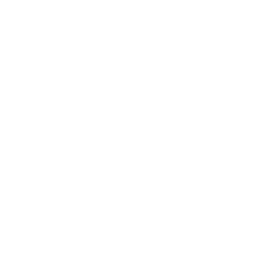 Electric icon Centereach NY