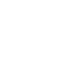 Flame icon