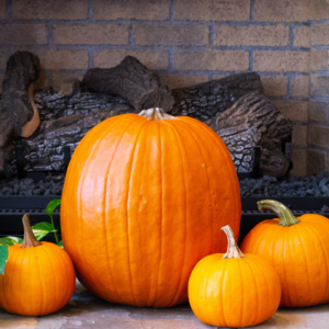 3 small pumpkin and 1 big pumpkin in front of logs in a fireplace