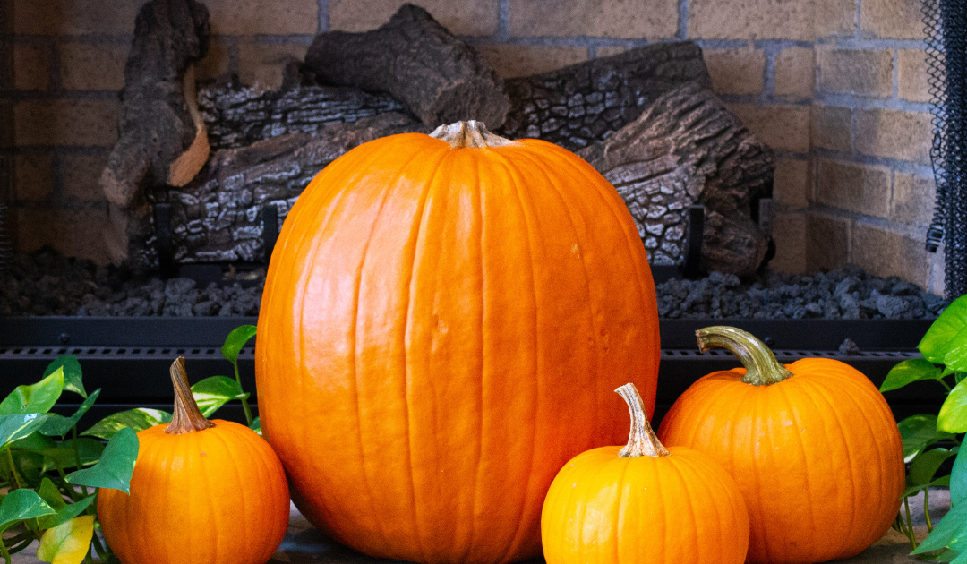 3 small pumpkin and 1 big pumpkin in front of logs in an unlit fireplace