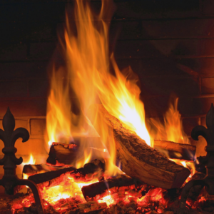 wood-fueled fire burning in a fireplace