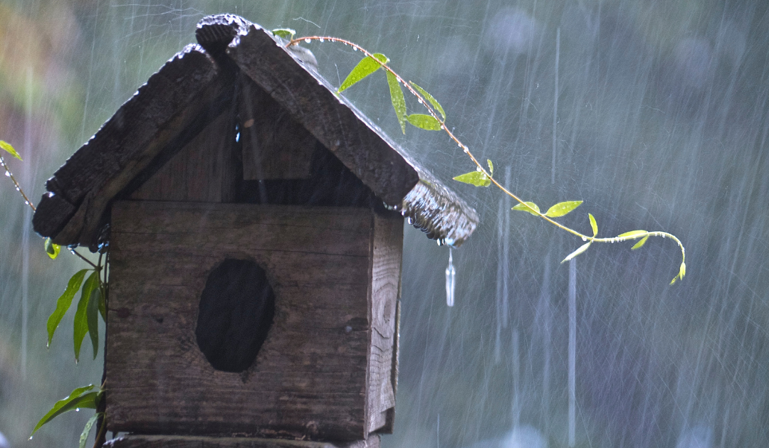 a wood bird house being rained on