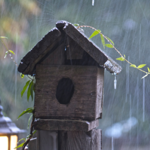 a wood bird house being rained on