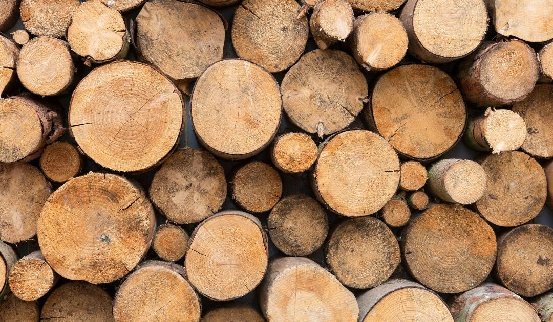 Best Practices for Fireplace Usage & Log Storage in the Winter