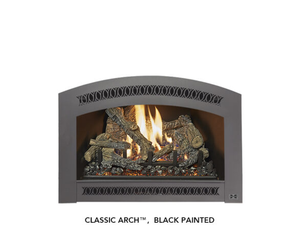 Stock Image - Fireplace X - 32 DVS Deluxe Ember-Glo Fireplace X Gas Insert - Dunrite Chimney and Stove