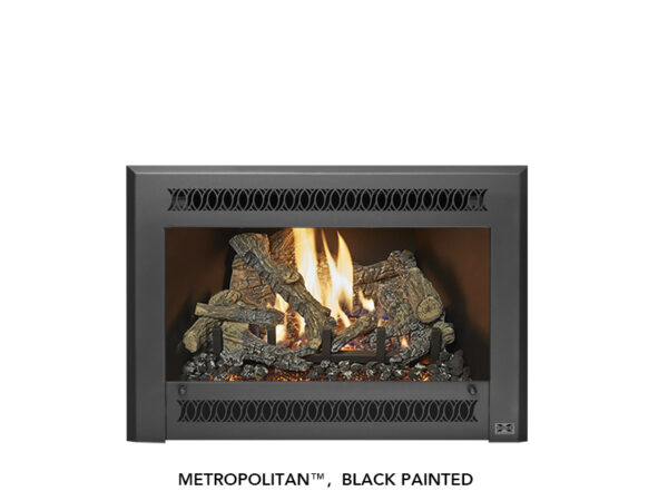 Stock Image - Fireplace X - 32 DVS Deluxe Ember-Glo Fireplace X Gas Insert - Dunrite Chimney and Stove