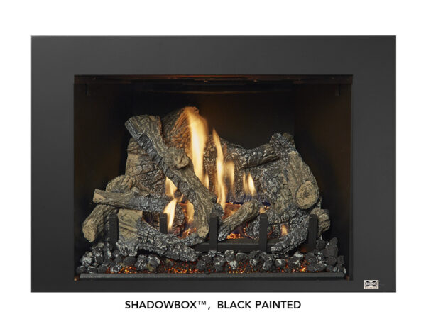 Stock Image - Fireplace X - 430 Deluxe Ember-Glo Fireplace X Gas Insert - Dunrite Chimney and Stove
