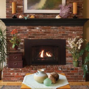 Stock Image - American Hearth - Franklin Direct-Vent Inserts American Hearth - Dunrite Chimney and Stove