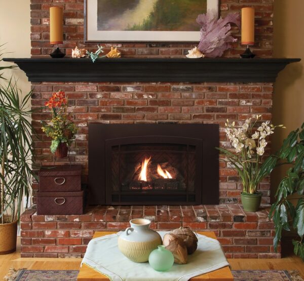 Stock Image - American Hearth - Franklin Direct-Vent Inserts American Hearth - Dunrite Chimney and Stove