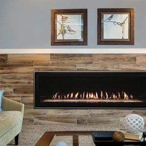 Stock Image - American Hearth - Boulevard Linear 60-inch American Hearth - Dunrite Chimney and Stove