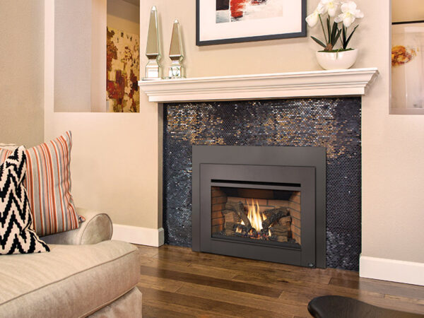 Stock Image - Lopi Radiant Plus™ Large – GSB Gas Inserts - Dunrite Chimney and Stove