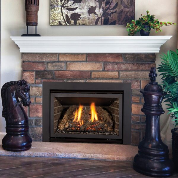 Stock Image - Kozy Heat Chaska 25 Gas Inserts - Dunrite Chimney and Stove