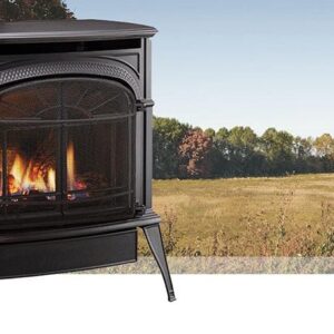 Stock Image - Vermont Castings Intrepid FlexBurn Wood Burning Stove Vermont Castings Wood Stove - Dunrite Chimney and Stove